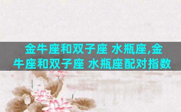 金牛座和双子座 水瓶座,金牛座和双子座 水瓶座配对指数